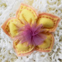/album/fiori-portaconfetti-in-feltro-e-tulle/particolari-13-jpg/